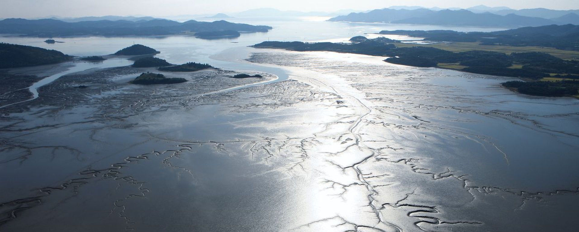 Mudflat of Korea – an ecological wonder