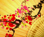 Premium Hand Painted Red Apricot Flower Folding Fan - Yellow Soil Dyed Paper Painting Home Deco